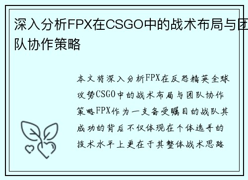 深入分析FPX在CSGO中的战术布局与团队协作策略